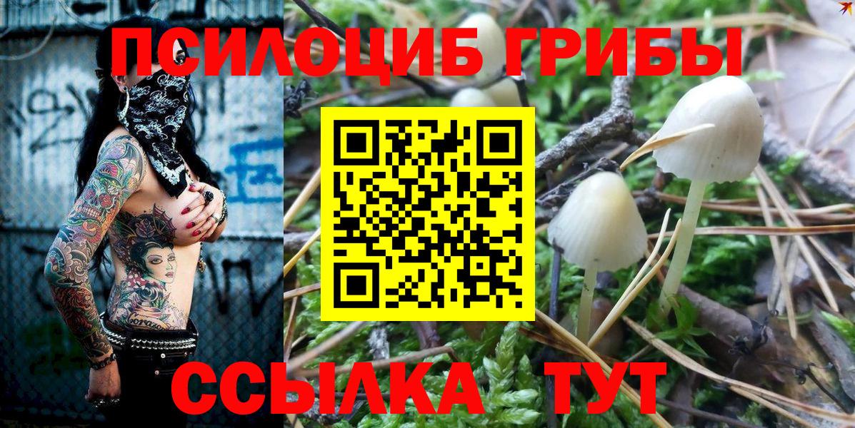 Псилоцибиновые грибы Magic Shrooms Ставрополь
