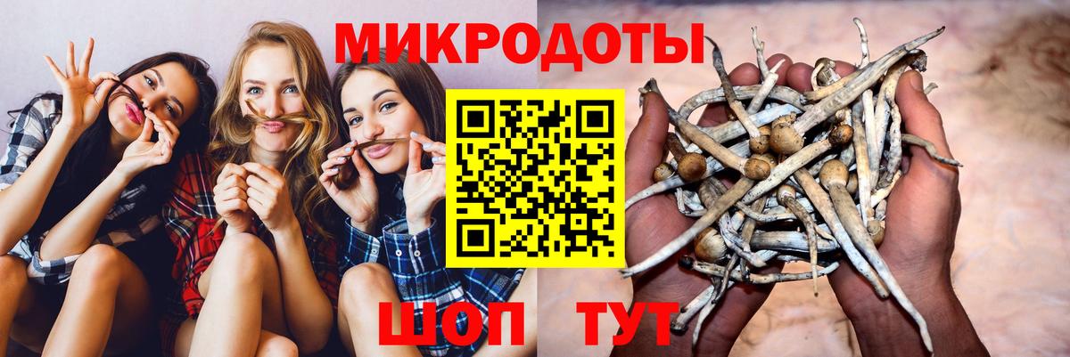 Ставрополь  Псилоцибиновые грибы Cubensis  Вход с VPN 